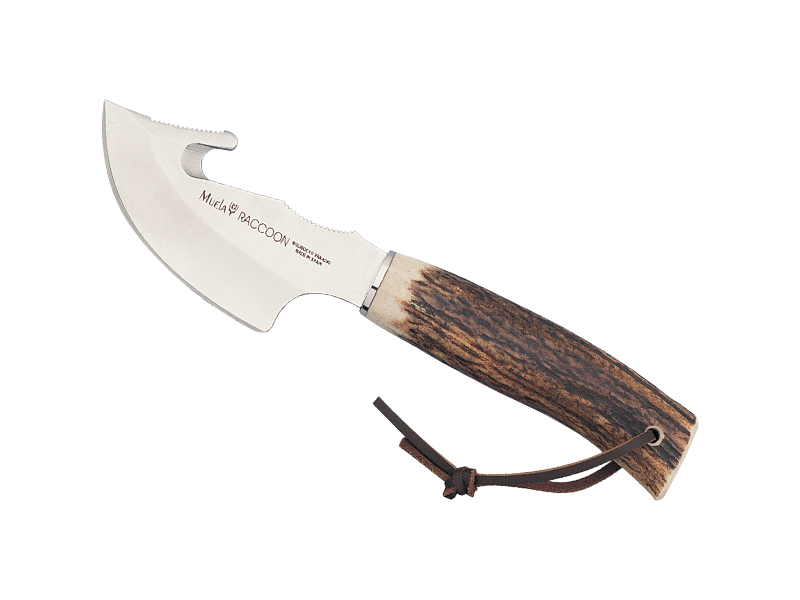 Poignard Muela Raccoon 8 cm - manche bois de cerf