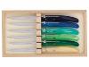 COFFRET 6 COUTEAUX DE TABLE/STEAK - CLAUDE DOZORME - 22CM - COULEURS FROIDES