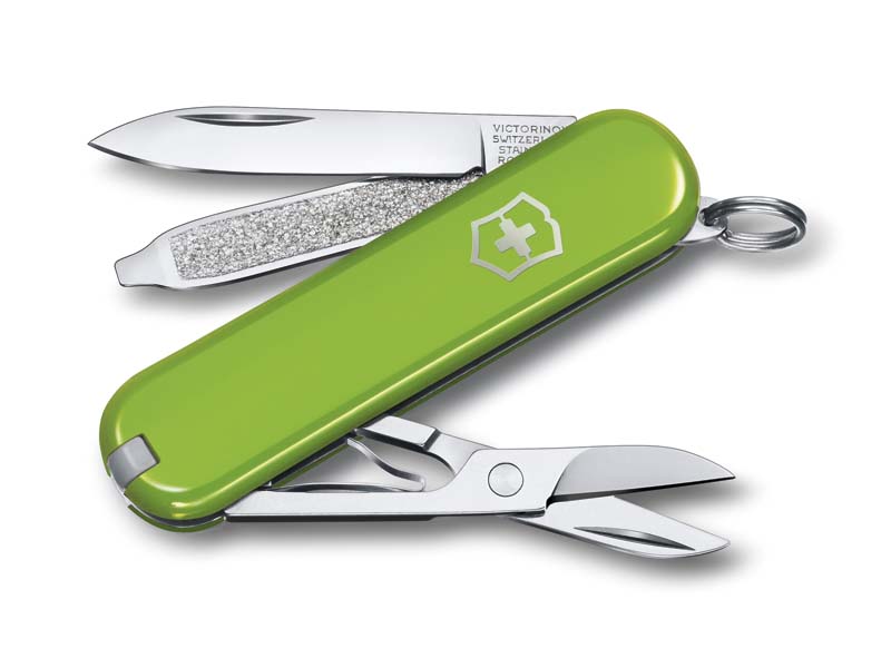 Canif Victorinox Classic SD Smashed Avocado